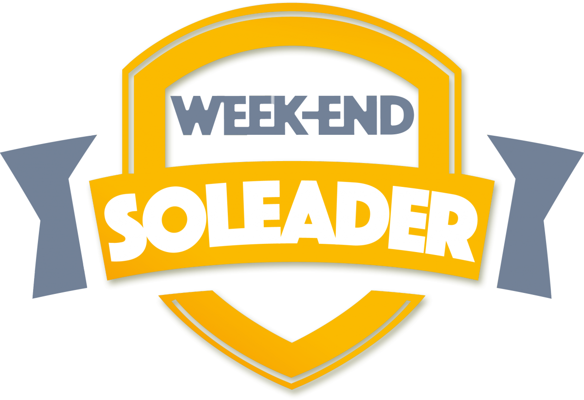 Logo Soleader