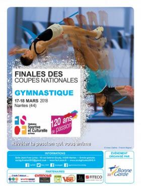 Finales des coupes nationales mixtes de gymnastique