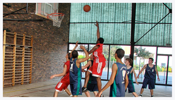 FSCF basket