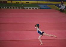 <a href="/actualites/interdepartementaux-gym-poussines-bergerac-14-mai-2017" class="active">INTERDEPARTEMENTAUX GYM  POUSSINES BERGERAC 14 MAI 2017</a><div class="smartphoto_back_link"><a href="/multimedia">Retour aux albums</a></div><div class="smartphoto_date_album">Album publié le 19/05/2017</div>