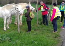 <a href="/actualites/retour-sur-la-formation-dinitiateur-en-randonnee-pedestre">RETOUR SUR LA FORMATION D&#039;INITIATEUR EN RANDONNEE PEDESTRE</a><div class="smartphoto_back_link"><a href="/multimedia">Retour aux albums</a></div><div class="smartphoto_date_album">Album publié le 01/11/2017</div>