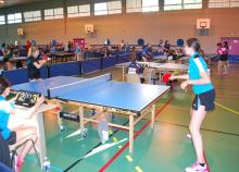 <a href="/actualites/franc-succes-pour-la-70eme-edition-du-championnat-national-de-tennis-de-table" class="active">Franc succès pour la 70ème édition du championnat national de tennis de table</a><div class="smartphoto_back_link"><a href="/multimedia">Retour aux albums</a></div><div class="smartphoto_date_album">Album publié le 14/06/2019</div>