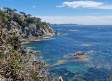 <a href="/actualites/rando-plus-comme-un-parfum-de-vacances-dete">RANDO PLUS - comme un parfum de vacances d&#039;été...</a><div class="smartphoto_back_link"><a href="/multimedia">Retour aux albums</a></div><div class="smartphoto_date_album">Album publié le 03/06/2025</div>