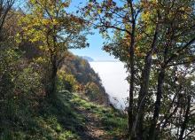 <a href="/actualites/les-belledonnes-premiere-randonnee-de-la-section">LES BELLEDONNES - Première randonnée de la section !</a><div class="smartphoto_back_link"><a href="/multimedia">Retour aux albums</a></div><div class="smartphoto_date_album">Album publié le 19/11/2024</div>