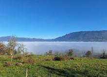 <a href="/actualites/les-belledonnes-premiere-randonnee-de-la-section">LES BELLEDONNES - Première randonnée de la section !</a><div class="smartphoto_back_link"><a href="/multimedia">Retour aux albums</a></div><div class="smartphoto_date_album">Album publié le 19/11/2024</div>