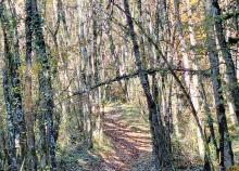 <a href="/actualites/les-belledonnes-premiere-randonnee-de-la-section">LES BELLEDONNES - Première randonnée de la section !</a><div class="smartphoto_back_link"><a href="/multimedia">Retour aux albums</a></div><div class="smartphoto_date_album">Album publié le 19/11/2024</div>
