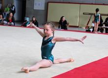 <a href="/actualites/des-poussins-graines-de-gymnastes" class="active">Des Poussins… Graines de gymnastes !</a><div class="smartphoto_back_link"><a href="/multimedia">Retour aux albums</a></div><div class="smartphoto_date_album">Album publié le 13/04/2018</div>