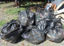 <a href="/actualites/clean-day-le-comite-departemental-guadeloupe-ramasse-plus-de-4-000-litres-de-dechets" class="active">Clean-up day : Le Comité départemental Guadeloupe ramasse plus de 4 000 litres de déchets !</a><div class="smartphoto_back_link"><a href="/multimedia">Retour aux albums</a></div><div class="smartphoto_date_album">Album publié le 03/10/2025</div>