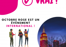 <a href="/actualites/octobre-rose-1">OCTOBRE ROSE - 30ème campagne de prévention</a><div class="smartphoto_back_link"><a href="/multimedia">Retour aux albums</a></div><div class="smartphoto_date_album">Album publié le 23/10/2024</div>