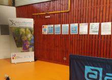 <a href="/actualites/action-sante-pendant-le-championnat-regional-individuel-de-twirling">PROMOTION SANTÉ - Championnat régional individuel de Twirling</a><div class="smartphoto_back_link"><a href="/multimedia">Retour aux albums</a></div><div class="smartphoto_date_album">Album publié le 20/02/2026</div>