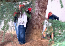 <a href="/actualites/bafa-lyon-une-semaine-pour-devenir-animateur-citoyen">BAFA Lyon - Une semaine pour devenir animateur citoyen</a><div class="smartphoto_back_link"><a href="/multimedia">Retour aux albums</a></div><div class="smartphoto_date_album">Album publié le 24/02/2026</div>