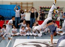 <a href="/actualites/16eme-rencontres-internationales-de-capoeira-tours" class="active">16ème Rencontres Internationales de Capoeira à Tours</a><div class="smartphoto_back_link"><a href="/multimedia">Retour aux albums</a></div><div class="smartphoto_date_album">Album publié le 11/04/2023</div>