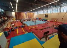 <a href="/actualites/gymnastique-feminine-des-tirelires-pour-les-enfants-hospitalises">GYMNASTIQUE FÉMININE - Des tirelires pour les enfants hospitalisés</a><div class="smartphoto_back_link"><a href="/multimedia">Retour aux albums</a></div><div class="smartphoto_date_album">Album publié le 19/06/2023</div>