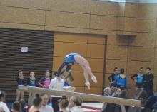 <a href="/actualites/demi-finales-des-coupes-mixtes-de-gymnastique-2019-zone-sud-est">Demi-Finale des coupes mixtes de gymnastique 2019 - Zone Sud-Est</a><div class="smartphoto_back_link"><a href="/multimedia">Retour aux albums</a></div><div class="smartphoto_date_album">Album publié le 25/01/2019</div>