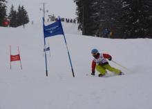 <a href="/actualites/championnat-national-de-ski-et-snowboard-2019">Championnat National de Ski et Snowboard 2019</a><div class="smartphoto_back_link"><a href="/multimedia">Retour aux albums</a></div><div class="smartphoto_date_album">Album publié le 05/02/2019</div>