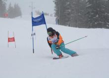 <a href="/actualites/championnat-national-de-ski-et-snowboard-2019">Championnat National de Ski et Snowboard 2019</a><div class="smartphoto_back_link"><a href="/multimedia">Retour aux albums</a></div><div class="smartphoto_date_album">Album publié le 05/02/2019</div>