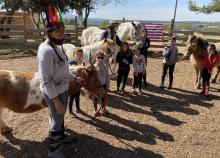 <a href="/actualites/fete-du-carnaval-cheval-la-ferme">FETE DU CARNAVAL A CHEVAL, à la Ferme</a><div class="smartphoto_back_link"><a href="/multimedia">Retour aux albums</a></div><div class="smartphoto_date_album">Album publié le 08/02/2022</div>