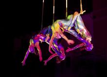 <a href="/actualites/lart-du-cirque-une-activite-ludique-et-technique" class="active">L&#039;art du cirque, une activité ludique et technique </a><div class="smartphoto_back_link"><a href="/multimedia">Retour aux albums</a></div><div class="smartphoto_date_album">Album publié le 06/07/2017</div>