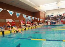 <a href="/actualites/la-natation-mise-lhonneur-tours-pour-le-championnat-national-2016" class="active">La natation mise à l’honneur à Tours pour le championnat national 2016  </a><div class="smartphoto_back_link"><a href="/multimedia">Retour aux albums</a></div><div class="smartphoto_date_album">Album publié le 16/05/2016</div>