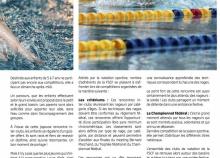 <a href="/actualites/focus-activite-les-activites-aquatiques-la-fscf" class="active">Focus Activité : les Activités Aquatiques à la FSCF</a><div class="smartphoto_back_link"><a href="/multimedia">Retour aux albums</a></div><div class="smartphoto_date_album">Album publié le 19/10/2016</div>