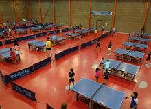 <a href="/actualites/decouverte-de-lactivite-tennis-de-table-la-federation" class="active">Découverte de l&#039;activité Tennis de table à la Fédération</a><div class="smartphoto_back_link"><a href="/multimedia">Retour aux albums</a></div><div class="smartphoto_date_album">Album publié le 05/07/2017</div>