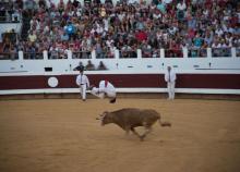 <a href="/actualites/des-championnats-couleur-ferias-en-rouge-et-de-blanc" class="active">Des championnats couleur Ferias… en Rouge et de Blanc </a><div class="smartphoto_back_link"><a href="/multimedia">Retour aux albums</a></div><div class="smartphoto_date_album">Album publié le 27/06/2017</div>