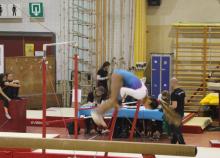 <a href="/actualites/retour-sur-le-tournoi-international-de-gymnastique-antheit">Retour sur le tournoi international de gymnastique à ANTHEIT</a><div class="smartphoto_back_link"><a href="/multimedia">Retour aux albums</a></div><div class="smartphoto_date_album">Album publié le 04/12/2017</div>