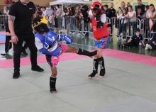 <a href="/actualites/trophee-muay-thai-du-13-mai-2018">Trophée MUAY THAÏ du 13 Mai 2018</a><div class="smartphoto_back_link"><a href="/multimedia">Retour aux albums</a></div><div class="smartphoto_date_album">Album publié le 28/05/2018</div>