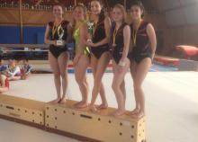 <a href="/actualites/retour-sur-le-regional-individuelle-et-coupe-dauge-en-gymnastique-feminine">Retour sur le Régional Individuelle et Coupe Dauge en Gymnastique Féminine</a><div class="smartphoto_back_link"><a href="/multimedia">Retour aux albums</a></div><div class="smartphoto_date_album">Album publié le 02/05/2017</div>