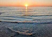 <a href="/actualites/retour-sur-un-weekend-en-vendee">Retour sur un weekend en Vendée </a><div class="smartphoto_back_link"><a href="/multimedia">Retour aux albums</a></div><div class="smartphoto_date_album">Album publié le 20/05/2025</div>