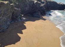 <a href="/actualites/retour-sur-un-weekend-en-vendee">Retour sur un weekend en Vendée </a><div class="smartphoto_back_link"><a href="/multimedia">Retour aux albums</a></div><div class="smartphoto_date_album">Album publié le 20/05/2025</div>