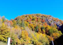 <a href="/actualites/rando-plus-sorties-doctobre">RANDO PLUS - sorties d&#039;octobre</a><div class="smartphoto_back_link"><a href="/multimedia">Retour aux albums</a></div><div class="smartphoto_date_album">Album publié le 31/10/2025</div>