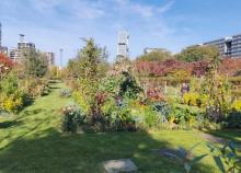 <a href="/actualites/les-batignolles-et-ses-tresors-caches">Les Batignolles et ses trésors cachés</a><div class="smartphoto_back_link"><a href="/multimedia">Retour aux albums</a></div><div class="smartphoto_date_album">Album publié le 22/10/2025</div>