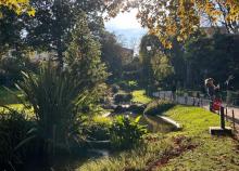 <a href="/actualites/les-batignolles-et-ses-tresors-caches">Les Batignolles et ses trésors cachés</a><div class="smartphoto_back_link"><a href="/multimedia">Retour aux albums</a></div><div class="smartphoto_date_album">Album publié le 22/10/2025</div>