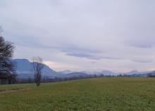 <a href="/actualites/rando-plus-retour-sur-le-mois-de-janvier">RANDO PLUS - Retour sur le mois de janvier</a><div class="smartphoto_back_link"><a href="/multimedia">Retour aux albums</a></div><div class="smartphoto_date_album">Album publié le 13/02/2026</div>