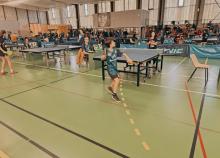 <a href="/actualites/regional-de-tennis-de-table">Régional de Tennis de Table</a><div class="smartphoto_back_link"><a href="/multimedia">Retour aux albums</a></div><div class="smartphoto_date_album">Album publié le 12/12/2024</div>