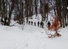 <a href="/actualites/rando-plus-retour-sur-le-mois-de-janvier">RANDO PLUS - Retour sur le mois de janvier</a><div class="smartphoto_back_link"><a href="/multimedia">Retour aux albums</a></div><div class="smartphoto_date_album">Album publié le 13/02/2026</div>