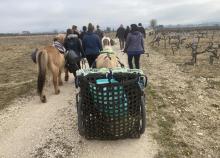 <a href="/actualites/un-clean-day-educatif-cheval-pour-les-jeunes-sous-main-de-justice" class="active">Un clean-up day éducatif, à cheval, pour les jeunes sous-main de justice</a><div class="smartphoto_back_link"><a href="/multimedia">Retour aux albums</a></div><div class="smartphoto_date_album">Album publié le 21/02/2023</div>