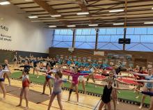 <a href="/actualites/gymnastique-feminine-departemental-individuel-54">GYMNASTIQUE FÉMININE - Départemental individuel 54</a><div class="smartphoto_back_link"><a href="/multimedia">Retour aux albums</a></div><div class="smartphoto_date_album">Album publié le 18/03/2024</div>