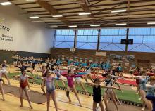 <a href="/actualites/gymnastique-feminine-departemental-individuel-54">GYMNASTIQUE FÉMININE - Départemental individuel 54</a><div class="smartphoto_back_link"><a href="/multimedia">Retour aux albums</a></div><div class="smartphoto_date_album">Album publié le 18/03/2024</div>