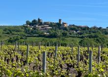 <a href="/actualites/journee-departementale-de-randonnee-pedestre">JOURNEE DEPARTEMENTALE DE RANDONNÉE PÉDESTRE</a><div class="smartphoto_back_link"><a href="/multimedia">Retour aux albums</a></div><div class="smartphoto_date_album">Album publié le 13/07/2026</div>
