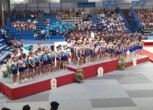 <a href="/actualites/felicitation-nos-associations-de-gymnastique-masculine">Félicitation à nos Associations de Gymnastique Masculine</a><div class="smartphoto_back_link"><a href="/multimedia">Retour aux albums</a></div><div class="smartphoto_date_album">Album publié le 09/06/2022</div>