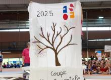 <a href="/actualites/gymnastique-feminine-coupe-departementale-2025">GYMNASTIQUE FÉMININE - Coupe départementale 2025</a><div class="smartphoto_back_link"><a href="/multimedia">Retour aux albums</a></div><div class="smartphoto_date_album">Album publié le 22/04/2025</div>