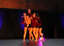 <a href="/actualites/alors-danse">Alors, on danse ?</a><div class="smartphoto_back_link"><a href="/multimedia">Retour aux albums</a></div><div class="smartphoto_date_album">Album publié le 07/05/2024</div>