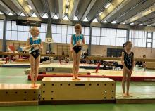 <a href="/actualites/gymnastique-feminine-badges-et-individuels">GYMNASTIQUE FÉMININE - Badges et individuels !</a><div class="smartphoto_back_link"><a href="/multimedia">Retour aux albums</a></div><div class="smartphoto_date_album">Album publié le 01/04/2025</div>