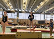 <a href="/actualites/gymnastique-feminine-badges-et-individuels">GYMNASTIQUE FÉMININE - Badges et individuels !</a><div class="smartphoto_back_link"><a href="/multimedia">Retour aux albums</a></div><div class="smartphoto_date_album">Album publié le 01/04/2025</div>