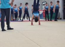 <a href="/actualites/gymnastique-masculine-competition-departementales">GYMNASTIQUE MASCULINE - compétition départementales</a><div class="smartphoto_back_link"><a href="/multimedia">Retour aux albums</a></div><div class="smartphoto_date_album">Album publié le 07/05/2026</div>