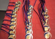 <a href="/championnat-departemental-v-p-3" class="active">Championnat Départemental (V) (P)</a><div class="smartphoto_back_link"><a href="/multimedia">Retour aux albums</a></div><div class="smartphoto_date_album">Album publié le 05/10/2025</div>