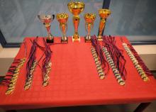 <a href="/championnat-departemental-v-p-3" class="active">Championnat Départemental (V) (P)</a><div class="smartphoto_back_link"><a href="/multimedia">Retour aux albums</a></div><div class="smartphoto_date_album">Album publié le 05/10/2025</div>