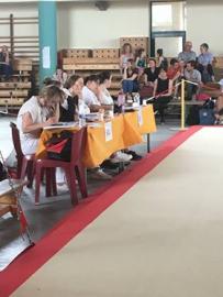 Palmarès compétition été gymnastique féminine jeunesses aînées fscf 35 ille-et-vilaine